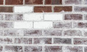 Progress: Rough painted bricks vs. whitewashed bricks