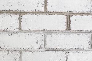 Method: 1/1 grout wash vs. 2/1 grout wash